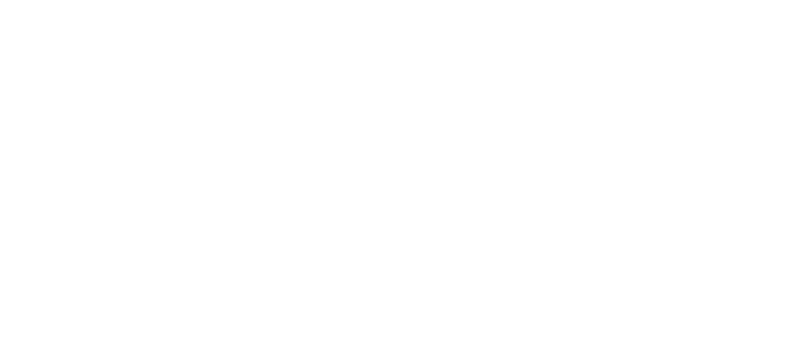 Logo del Desarrollador